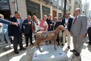 CABRA-FERNANDO-NUÑEZ-IMG_2680